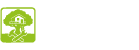 Custom Treehouse Builders